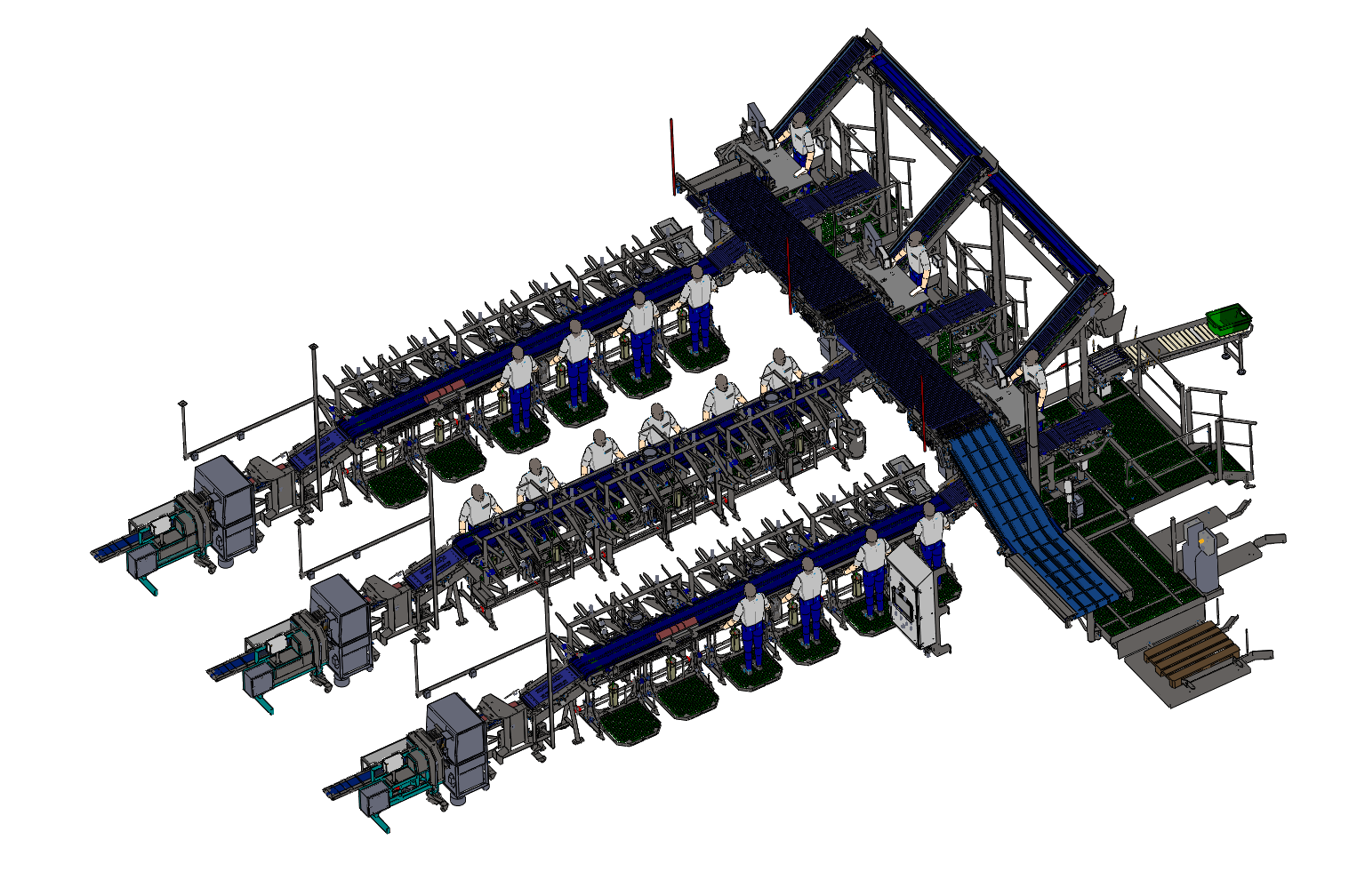 Ligne de production agroalimentaire
